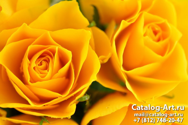 Натяжные потолки с фотопечатью - Желтые и бежевые розы 12